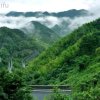 腊梅傲雪拒加微信。的头像