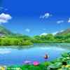 皇家¹⑨旋风少年的头像