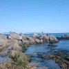 海韵的头像