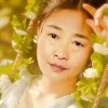 冰山雪莲的头像