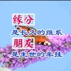 雨梦的头像