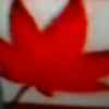 枫叶正红的头像