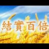 标杆人生大使命赞美合唱同工的头像
