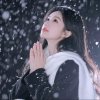 雪绒花的头像