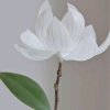 柳暗花明的头像