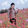 柳絮飘飘的头像
