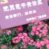 招财进宝的头像