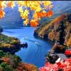 清风祺景的头像