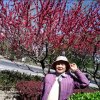 霜花的头像
