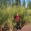 跑调大王。快乐每一天。的头像