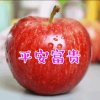 幸福一家《停币》的头像
