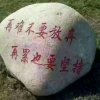 小草的头像