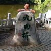  阳光 的头像