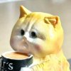 阿良的头像