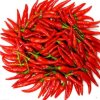 红椒的头像