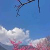 蒋红的头像