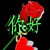 珍惜今生的头像
