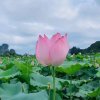 叮咚泉水的头像