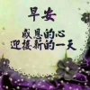 一帆风顺的头像