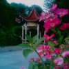 竹叶青青的头像