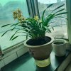 星梦缘的头像