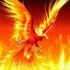 火凤凰（仙缘）的头像