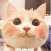 红颜清影的头像