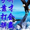 大漠雄鹰的头像