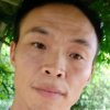 小丑王祥养鸡批发零售的头像