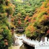 浊酒佳人i的头像