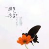 波波的头像