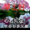 自娱自乐的头像