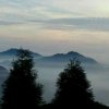平谈的头像