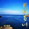 花开富贵的头像
