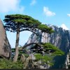有空来坐坐（绿色生态水果）的头像