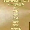 燕的头像