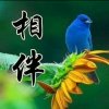 【主唱】寒梅雪中立的头像