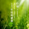 橘子无虫的头像