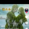 雄鹰的头像