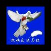 陈诚的头像