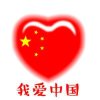 碧波荡漾的头像