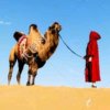 Camel【祥子】的头像