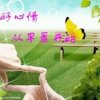 默默无闻的头像