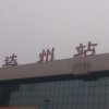 丰牛的头像
