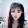 丝琴的头像