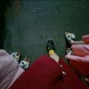 知音的头像