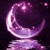 紫弦月的头像