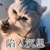 往事随风的头像