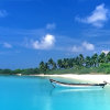 海天壹色的头像