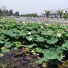 东方红(暂退)的头像